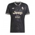 Juventus Jonathan David #30 Tredjedrakt 2025-26 Kortermet