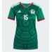 Mexico Israel Reyes #15 Hjemmedrakt Dame VM 2026 Kortermet Mexico Israel Reyes #15 Hjemmedrakt Dame VM 2026 Kortermet