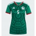 Mexico Johan Vasquez #5 Hjemmedrakt Dame VM 2026 Kortermet Mexico Johan Vasquez #5 Hjemmedrakt Dame VM 2026 Kortermet