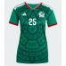 Mexico Roberto Alvarado #25 Hjemmedrakt Dame VM 2026 Kortermet