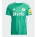 Newcastle United Nick Woltemade #27 Borte Drakt 2025-26 Kortermet