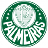 Palmeiras Drakt