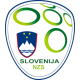 Slovenia Landslagsdrakt