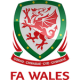 Wales Landslagsdrakt