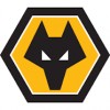 Wolves Drakt Barn